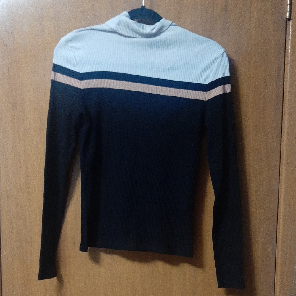 Striped Long Sleeve Turtleneck Top
